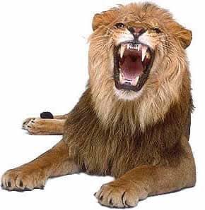 Lion roars for a transcription service
